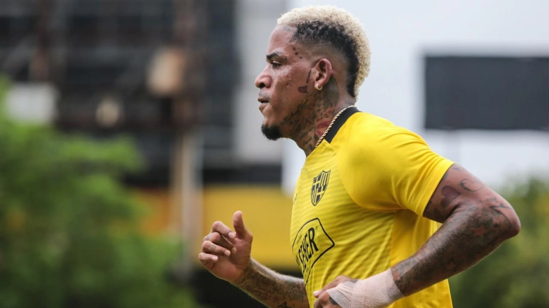 img of Gambetita se vestirá de Azul?